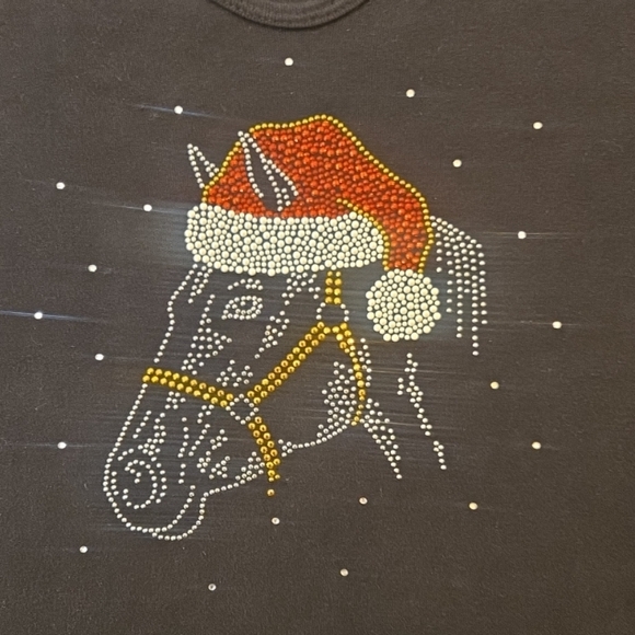 Festive Holiday Beaded Rhinestone Equestrian Horse Santa Hat Top XL Black Red - Picture 6 of 6